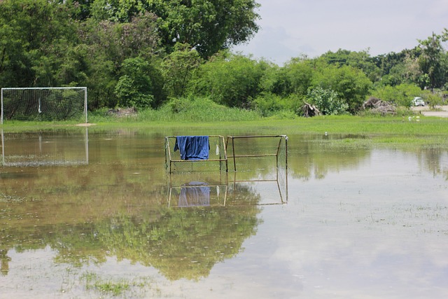 救星还是额 救星还是额