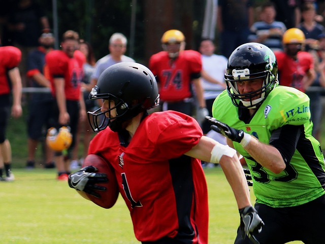 球迷的期待 球迷的期待