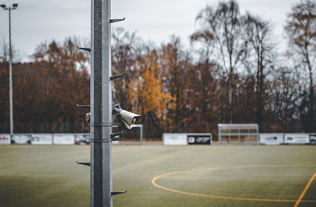 不仅是球迷 不仅是球迷