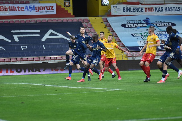 不仅提高了 不仅提高了