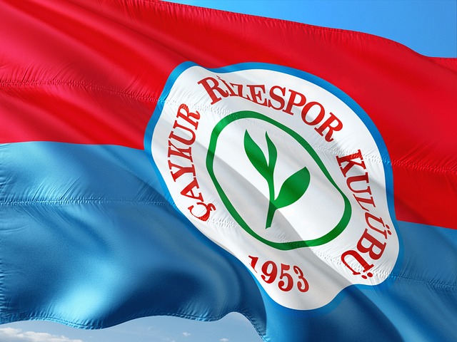 他们在关键 他们在关键