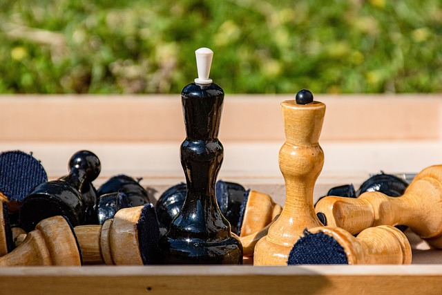 们在处理球 们在处理球