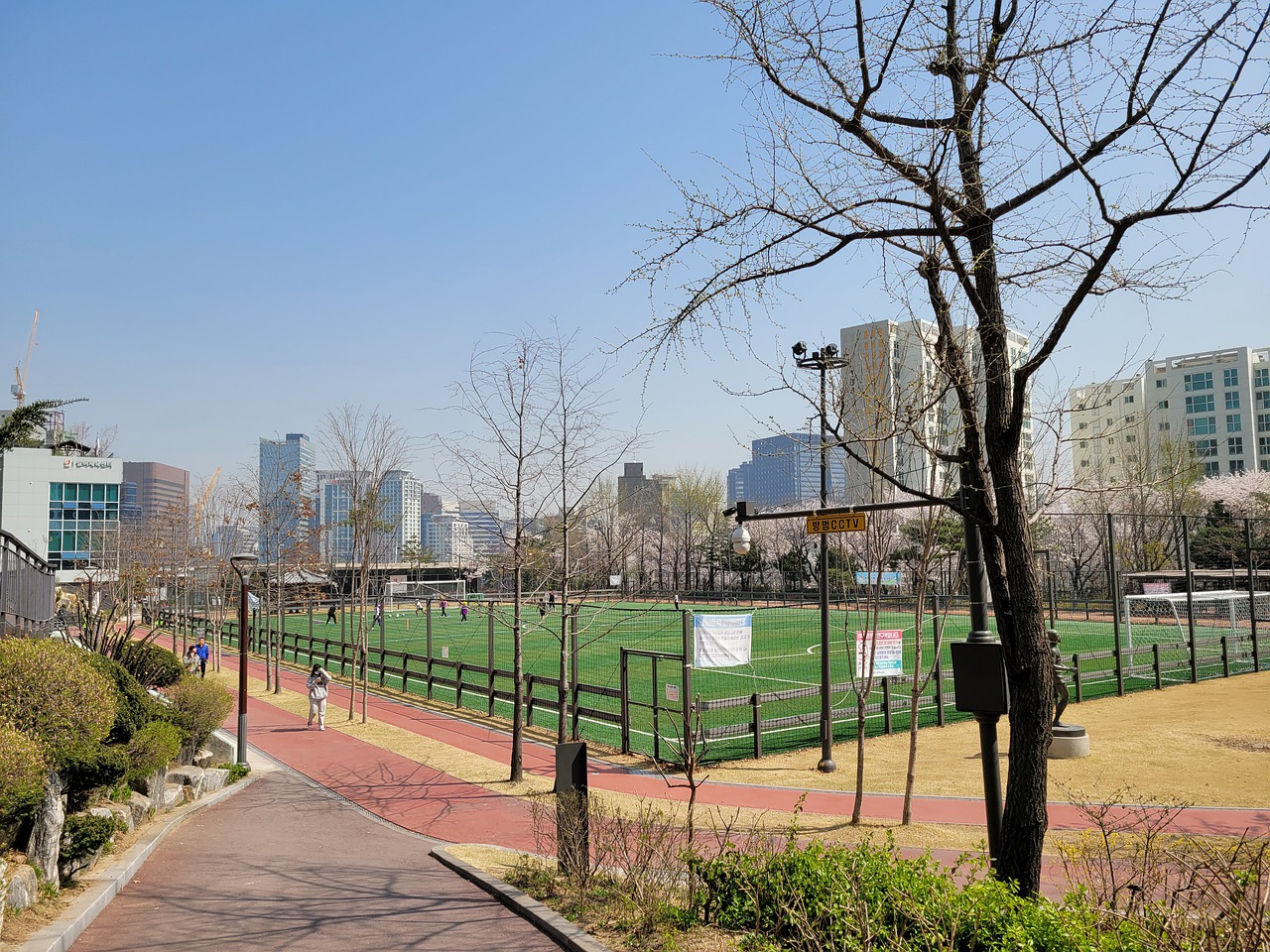 技能是一项 技能是一项