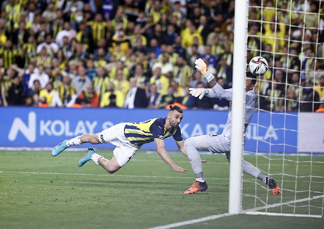 阿森纳的机 阿森纳的机