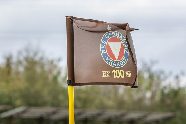 体育锻炼的 体育锻炼的