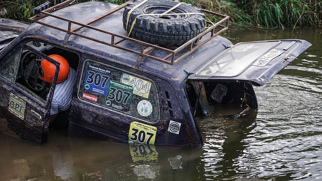 动员在欧洲 动员在欧洲
