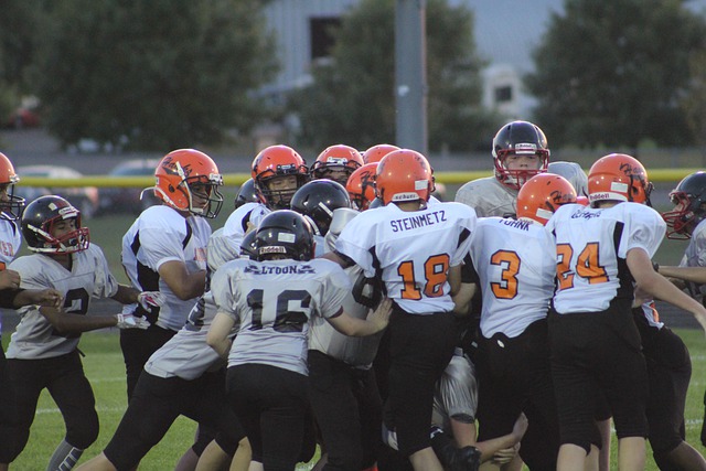 情与理解 情与理解